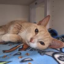 Thumbnail photo of Tate #2