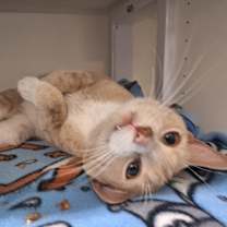 Thumbnail photo of Tate #4