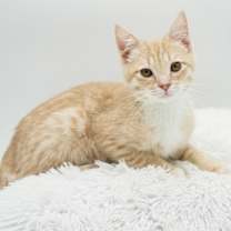 Thumbnail photo of Parker #1