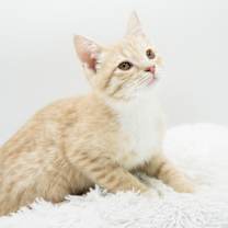 Thumbnail photo of Parker #2