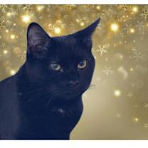 Thumbnail photo of Keegan #1