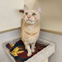 Thumbnail photo of Chuck #2