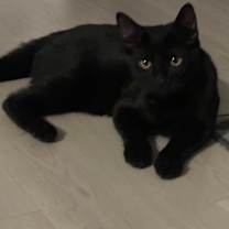 Thumbnail photo of Pita #1