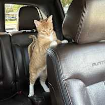 Thumbnail photo of Brody #4