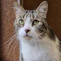 Thumbnail photo of Sekki #1