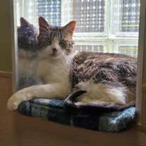 Thumbnail photo of Sekki #2