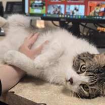 Thumbnail photo of Sekki #3