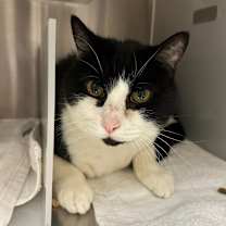 Thumbnail photo of Murphy #2