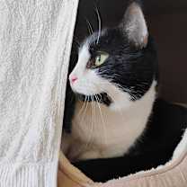 Thumbnail photo of Murphy #3