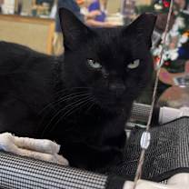 Thumbnail photo of Robecca #1