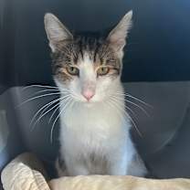 Thumbnail photo of Squirt #3