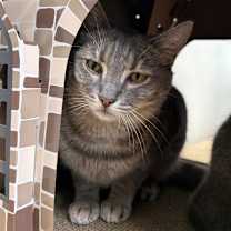 Thumbnail photo of Rochelle #1