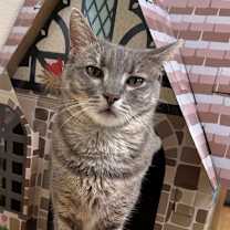 Thumbnail photo of Rochelle #2