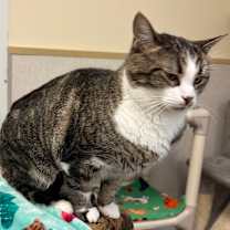 Thumbnail photo of Elsie #3