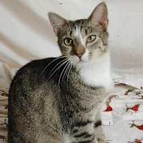 Thumbnail photo of Anastasia #2