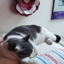 Thumbnail photo of Phillip #3