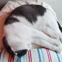 Thumbnail photo of Phillip #4