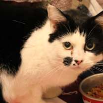 Thumbnail photo of Kiki #1