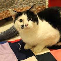 Thumbnail photo of Kiki #2