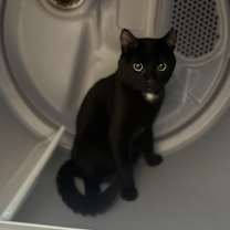 Thumbnail photo of Mac #1