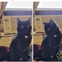 Thumbnail photo of Mac #2