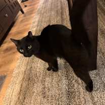 Thumbnail photo of Mac #3