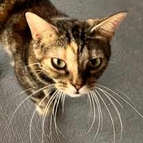 Thumbnail photo of Maeve #3