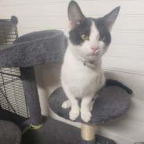 Thumbnail photo of Sister #1