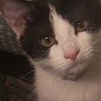 Thumbnail photo of Sister #2