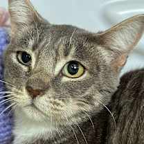 Thumbnail photo of Samantha #1