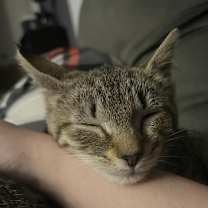 Thumbnail photo of Karen Walker #4