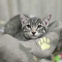 Thumbnail photo of Alby #2