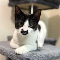 Thumbnail photo of Sienna #3