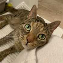 Thumbnail photo of Jackie #2