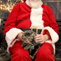 Thumbnail photo of Sheetz #1