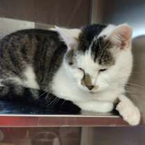 Thumbnail photo of Larry #1