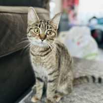 Thumbnail photo of Sally #1