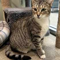 Thumbnail photo of Cammy #1