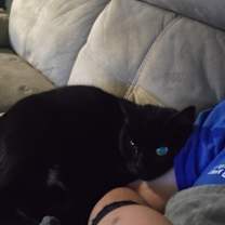 Thumbnail photo of Molly #1