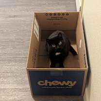 Thumbnail photo of Molly #2