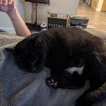 Thumbnail photo of Molly #3