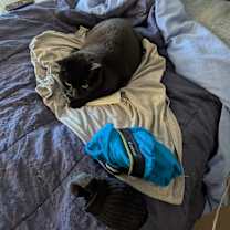 Thumbnail photo of Molly #4