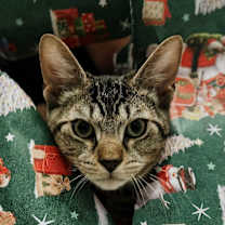 Thumbnail photo of Joanne #1