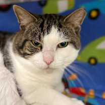 Thumbnail photo of Archer #1