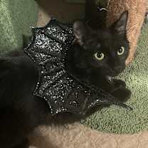 Thumbnail photo of Wynter #3