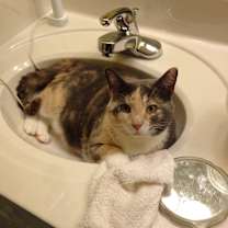 Thumbnail photo of Mama Boots #2