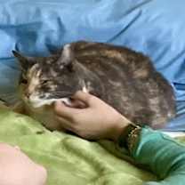 Thumbnail photo of Mama Boots #4