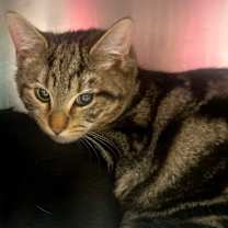 Thumbnail photo of Black Friday #2