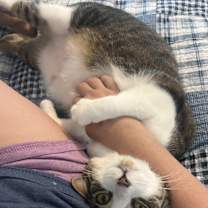 Thumbnail photo of Guinness #1