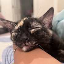 Thumbnail photo of Lucky #3